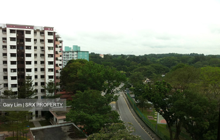 Blk 158 Mei Ling Street (Queenstown), HDB 3 Rooms #177062152
